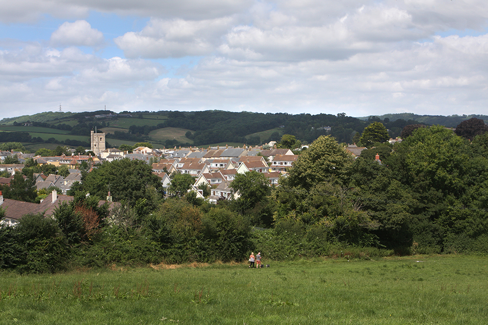 view from foxhill.jpg